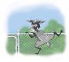 goat-escaping-color-2.jpg