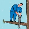 6015610-Idiot-saws-branch-Stock-Vector.jpg