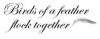 5_-Birds-of-a-feather-flock-together.jpg