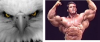 upload_2015-10-23_16-28-0.png