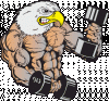 eagle-07lg-schoolbanners.gif