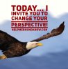 eagle-soaring.png-perspective.jpeg