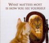 lion.jpg