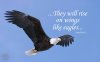 41e55798b4730c62fe0ba2bf2fee5a76.jpg