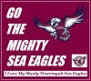 27eb3afbcd701349605110b7b530bdfb--eagles-football.jpg