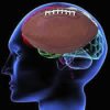 football-brain.jpg