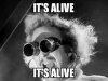 11160856-04E3-4F72-98B5-FFBDCB4A3890.jpeg
