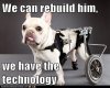we-can-rebuild-him-we-have-the-technology.jpg