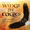 415ec700be00e0a769d52464e5908af5.png