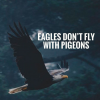Eagles don't fly with pigeons..png