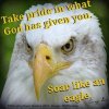6877fdbf92709bd01429cf8cd36d4475 (1).jpg