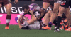 HandyEuphoricEastrussiancoursinghounds.gif