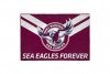 1-13e5926b2d-nrl681ae-sea-eagles-door-mat.jpg