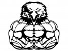 bodybuilding-eagle-4-bodybuilder-muscle-fit-weightlifting-etsy-muscle-eagle-png-794_597.jpg
