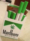 Marlboro Green.jpg