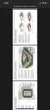 CA6BCE27-BE54-4260-BA62-0532CD65742F.png