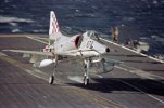 68CAF400-67D9-4E9F-8187-981A42AAFBC1.jpeg