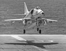 D004087F-3522-4C49-A72A-DE67EEE86163.jpeg