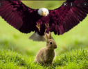 1632442269451.png