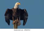 1643009263741.png