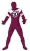 manly_sea_eagles.jpg