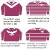 Manly Jersey.jpg