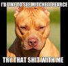 Mitchell Pearce.jpg