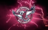 Manly-Warringah Sea Eagles 1.jpg