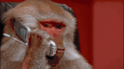 A1366E4E-3AD9-4FDB-A14A-8555B6C7447B.gif