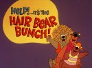 Hair Bear Bunch.jpg