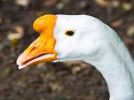 1697691225577.png