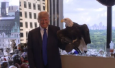 1701612028460.png