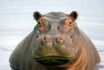 1708386877163.png