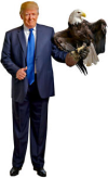 1708642996078.png