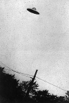 1712717101496.png