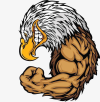 1722064756304.png