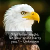 1745016297854.webp
