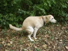 images.webp