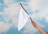 White Flag.png