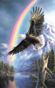 untitled.png
