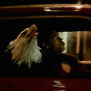 peacemaker-eagly.gif