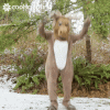 YXsTi6f8KzBxtup63J.gif