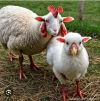 AISelect_20250813_181636_Samsung Internet.webp