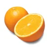 1756644492860.webp