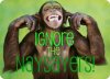 Ignore-the-Naysayers-300x216.jpg