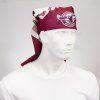 SeaEagles_TubeBandana_SC.jpg