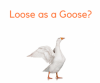 looseasagoose2.png