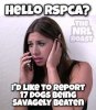 FB_IMG_1500591804125.jpg