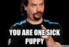 puppy.jpg