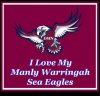 ba9907a7530ca892e23e570b7c389bc1--eagles.jpg